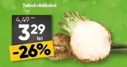 PROFI Țelină rădăcină Ofertă