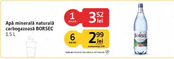 Borsec apa minerala naturala carbozatoasa