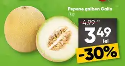 PROFI Pepene galben Galia Ofertă