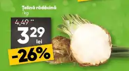 PROFI Ţelină rădăcină Ofertă