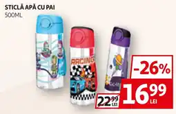 Auchan Sticlă apă cu pai Ofertă