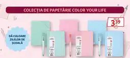 Auchan Carnet Ofertă