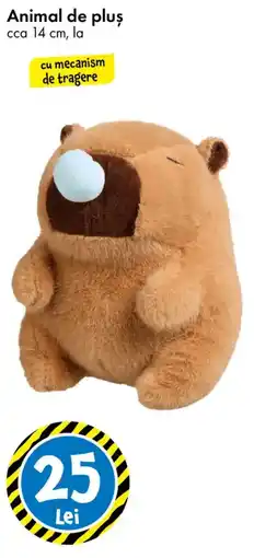 TEDI Animal de plus Ofertă