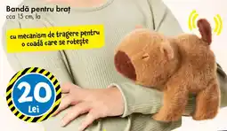 TEDI Bandă pentru braț Ofertă