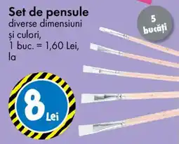 TEDI Set de pensule Ofertă