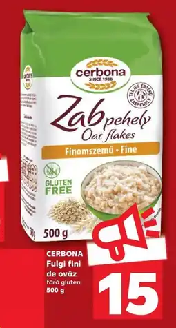 Kaufland Cerbona fulgi fini de ovaz Ofertă