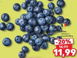 Kaufland Afine calitate I Ofertă