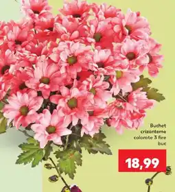 Kaufland Buchet crizanteme colorate Ofertă