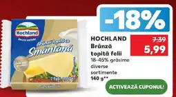 Kaufland Hochland brânză topită felii Ofertă