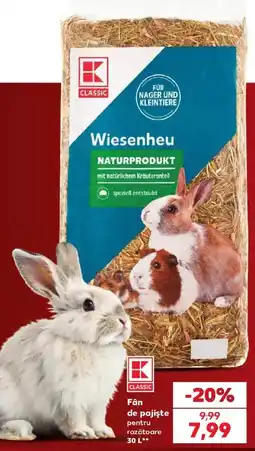 Kaufland K classic fân de pajiste pentru rozătoare Ofertă