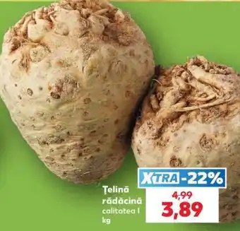 Kaufland Ţelină rădăcină Ofertă