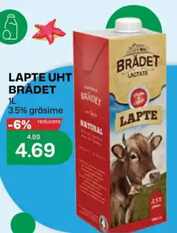 Diana Supermarket Lapte Uht Bradet Ofertă