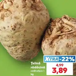 Kaufland Telină rădăcină calitatea I Ofertă