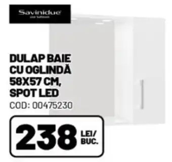 Savinidue dulap baie cu oglindă