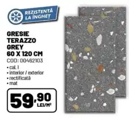 Ambient Gresie terazzo grey Ofertă