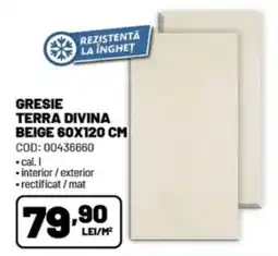 Ambient Gresie terra divina Ofertă