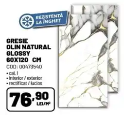 Ambient Gresie Olin Natural Glossy Ofertă