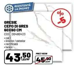 Ambient Gresie cepo di gres Ofertă