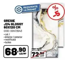 Ambient Gresie J24 Glossy Ofertă