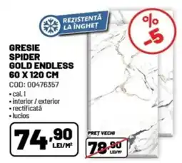 Ambient Gresie spider gold endless Ofertă