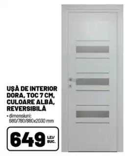 Ambient Dora ușă de interior Ofertă