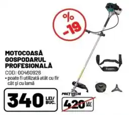 Ambient Gospodarul profesională Ofertă