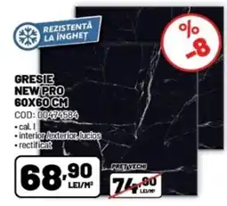Ambient Gresie New Pro Ofertă