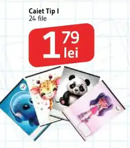 Supeco Caiet Tip I Ofertă