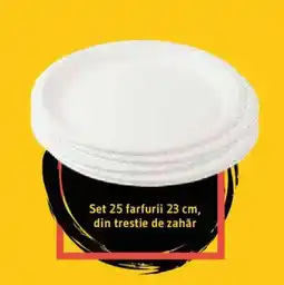 Supeco Set farfurii 23 cm din trestie de zahăr Ofertă