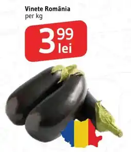 Supeco Vinete România Ofertă
