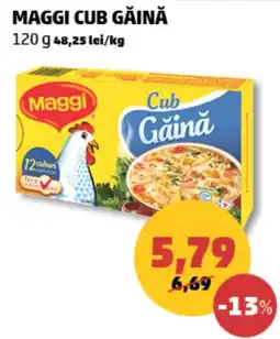 Penny Maggi cub găină Ofertă