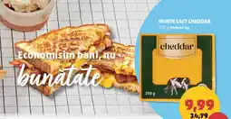 Penny Munte Lact Cheddar Ofertă