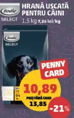Penny Bodie Select Hrană Uscată Pentru Câini Ofertă