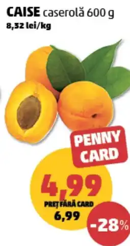 Penny Caise caserolă Ofertă