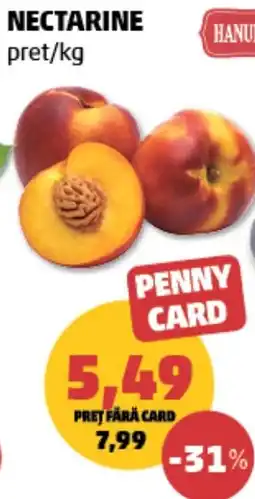 Penny Penny Card Nectarine Ofertă