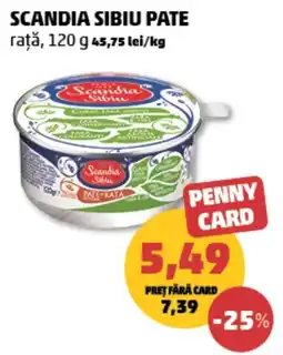Penny Scandia Sibiu Pate rață Ofertă