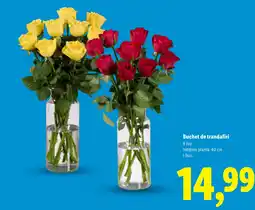Lidl Buchet de trandafiri Ofertă