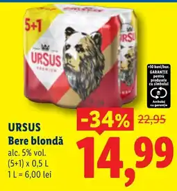 Lidl Ursus bere blondă Ofertă