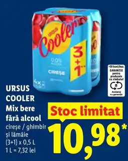 Lidl Ursus cooler Ofertă