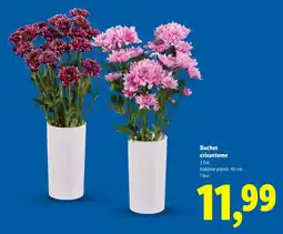 Lidl Buchet crizanteme Ofertă