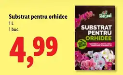 Lidl Florisol substrat pentru orhidee Ofertă