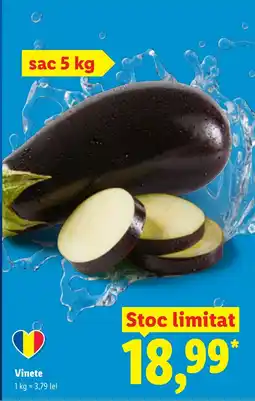 Lidl Vinete Ofertă