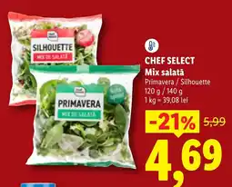 Lidl Chef select mix salată Ofertă