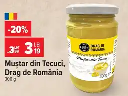 Carrefour Drag de România muștar din tecuci Ofertă