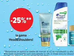 Carrefour Market Head&Shoulders Ofertă