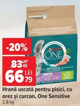 Carrefour One hrană uscată pentru pisici Ofertă