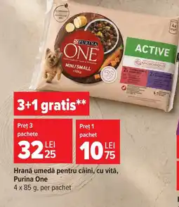 Carrefour Market Purina One Ofertă