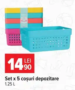 Carrefour Market Larner Zen coșuri depozitare Ofertă