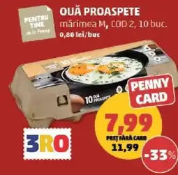 Penny Ouă proaspete Ofertă