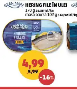 Penny Hering file în ulei Ofertă